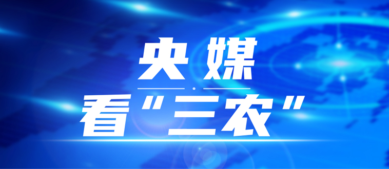 02-央媒看三农.jpg