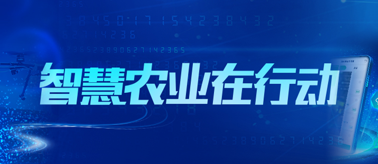 01-智慧行动.jpg