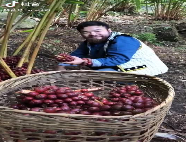 微信截图_20200421161738.png