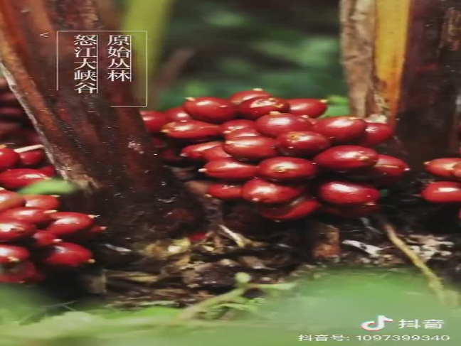 微信截图_20200421162044.png