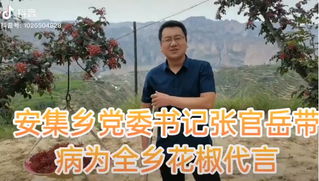 石山县花椒7.png