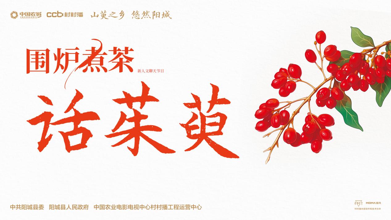 重阳佳节，共话山茱萸文化——《围炉煮茶话茱萸》在山西阳城县蟒河镇圆满录制