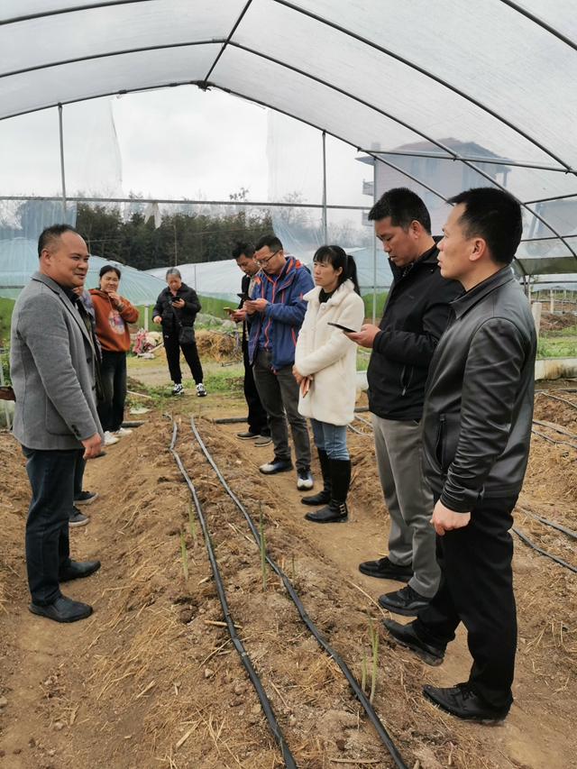 中国农业农村信息网_桂林市农业农村局刘永忠总农艺师到灵川,全州等县